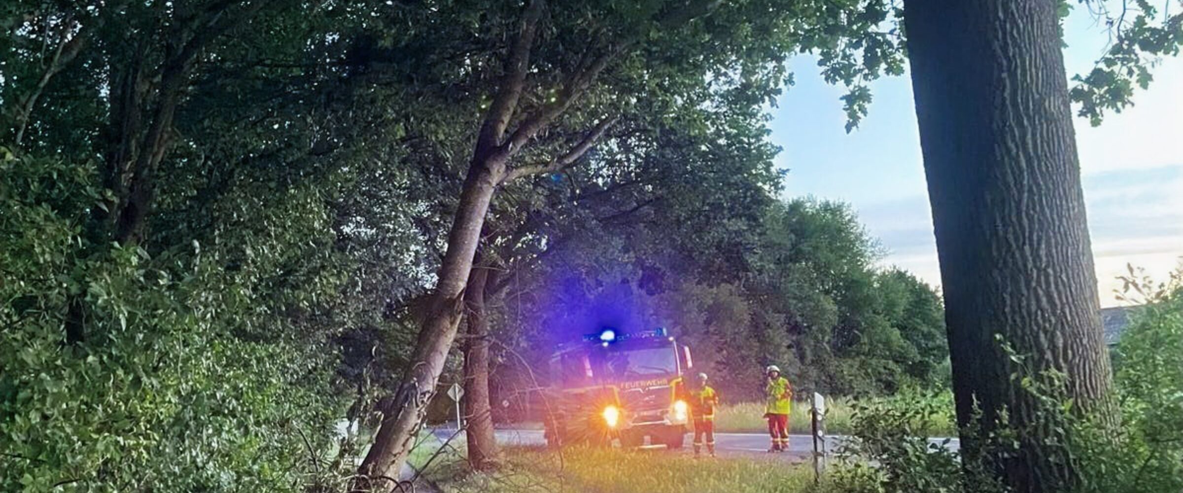 H0 - Baum droht zu fallen
