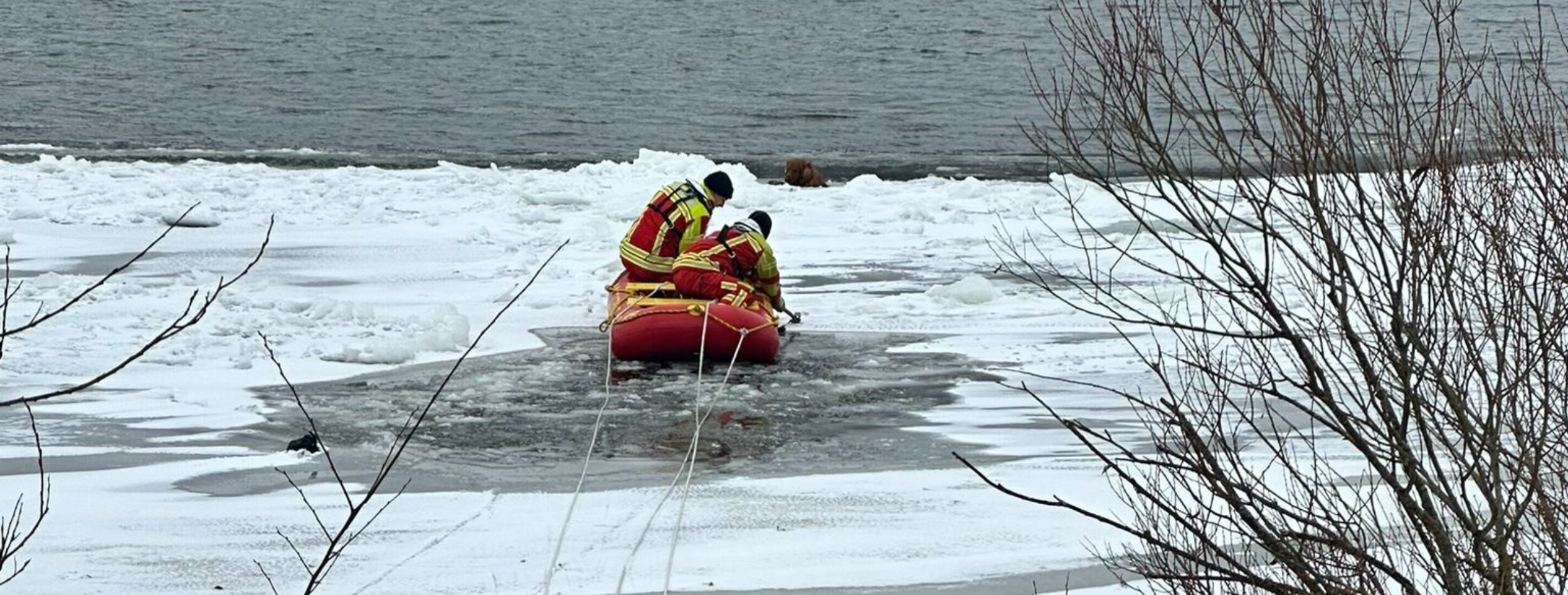 Bild 3 2026 02 05 184036 vjia