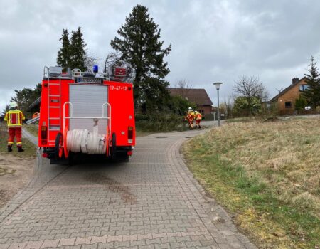 H0 - Sturmschaden - Baum auf Straße