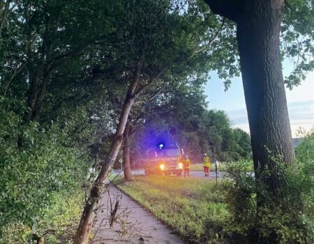 H0 - Baum droht zu fallen