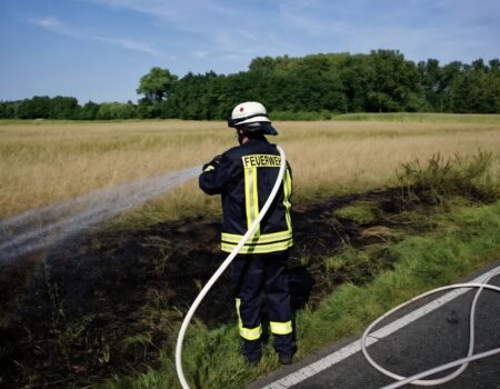 B1 - Vegetationsbrand
