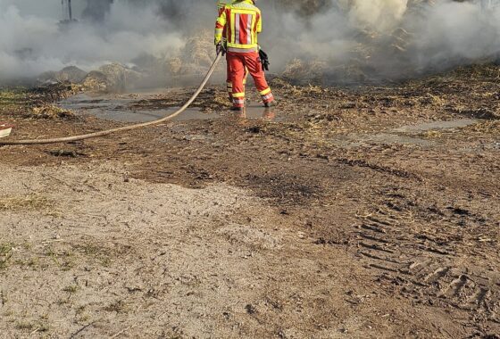 B3-Schuppenbrand groß