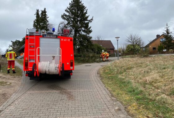 H0 - Sturmschaden - Baum auf Straße