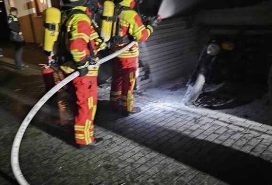 B2 - Schuppenbrand