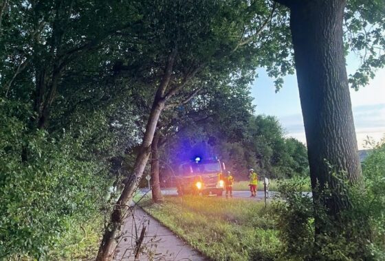 H0 - Baum droht zu fallen