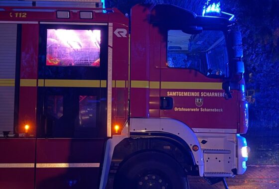 B1 – unklare Rauchentwicklung