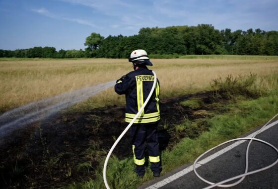 B1 - Vegetationsbrand