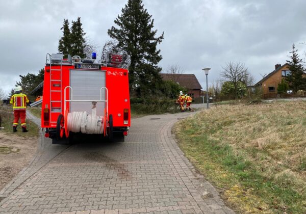 H0 - Sturmschaden - Baum auf Straße