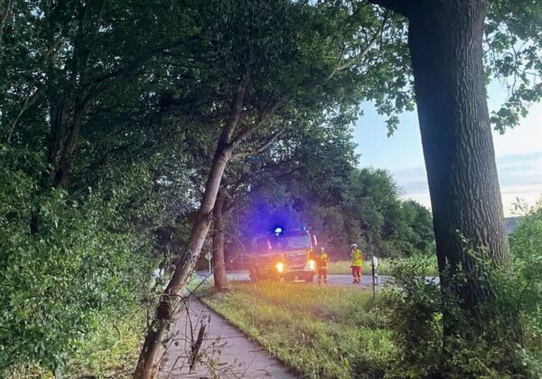 H0 - Baum droht zu fallen